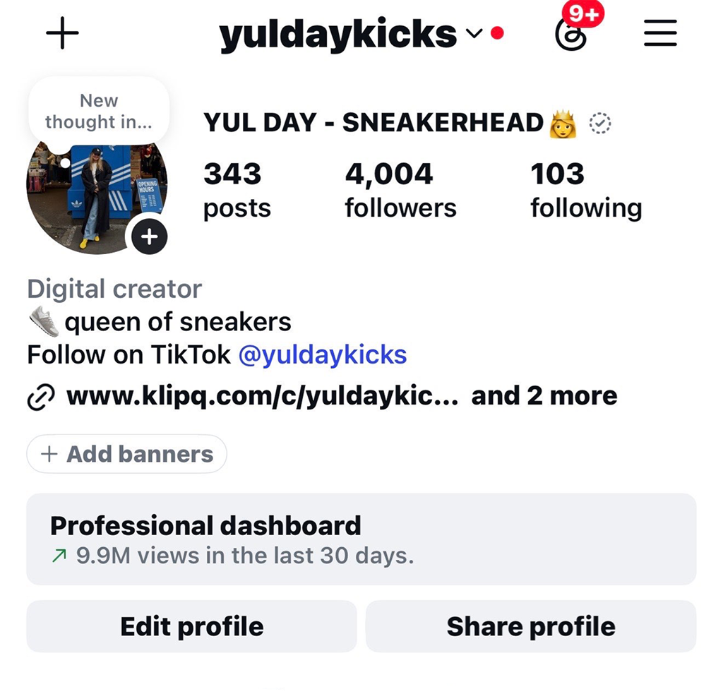 After — 4,004 followers and 9.9M views in 30 days